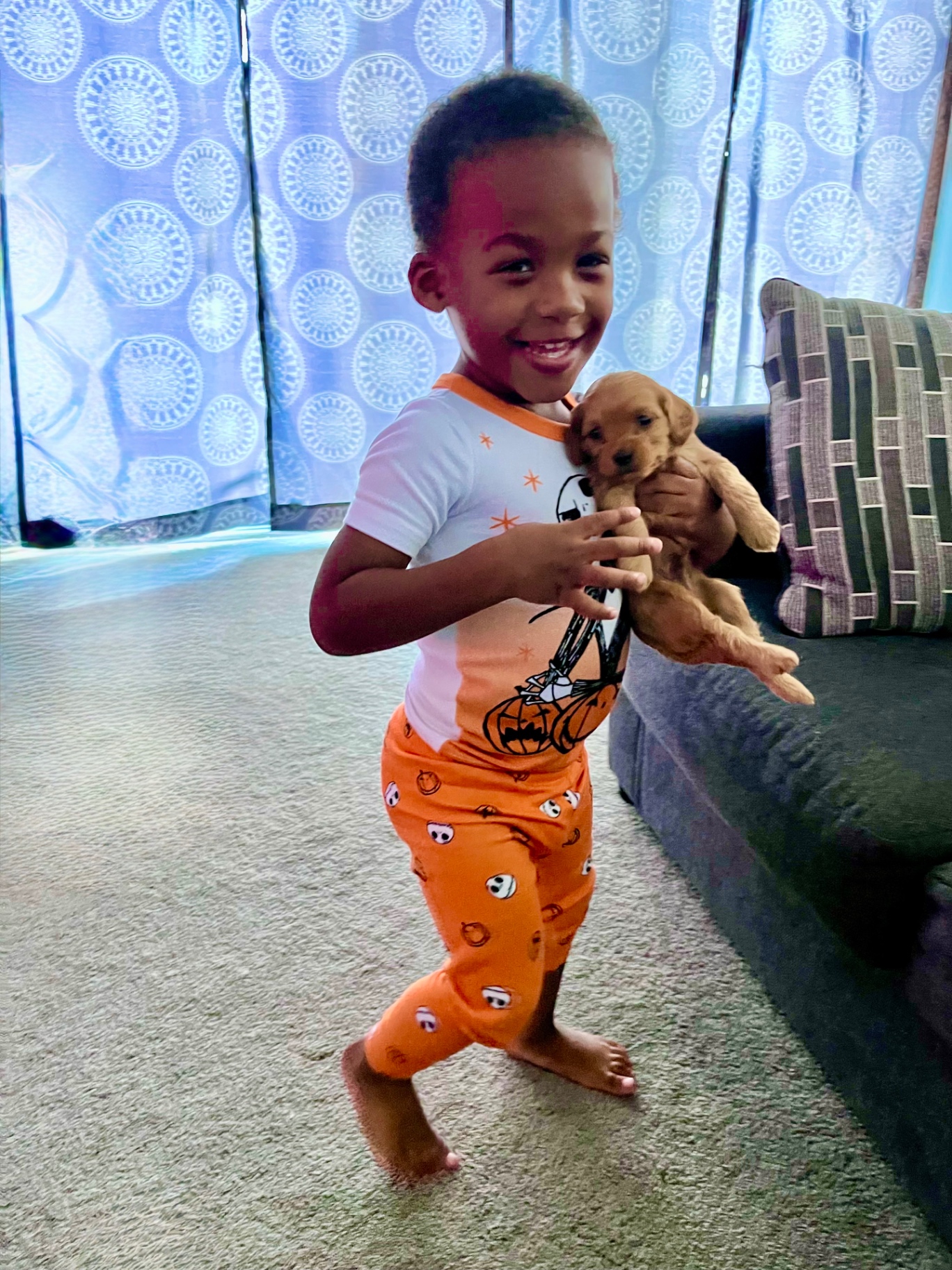 Smiling toddler in Halloween pajamas cradling an apricot Cavapoo puppy