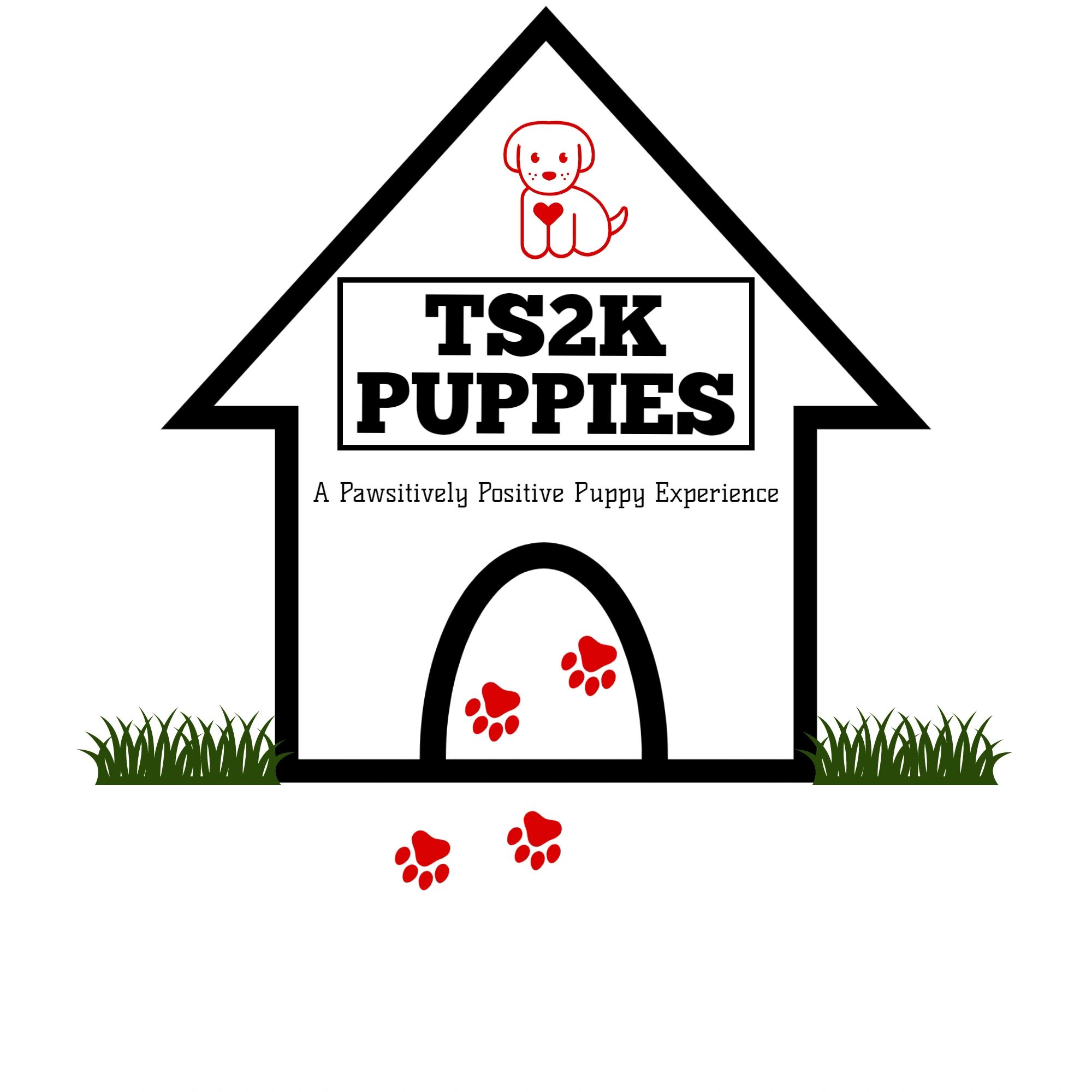 TS2K PUPPIES logo